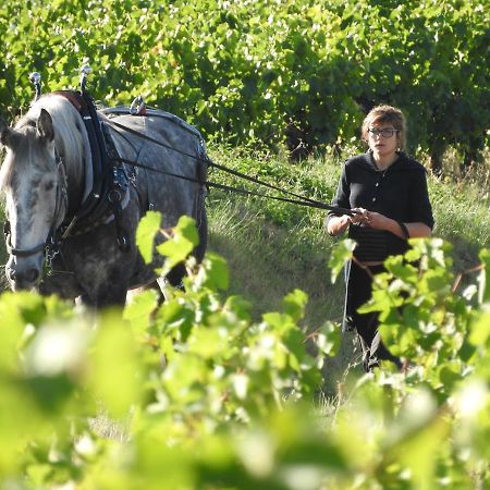 Domaine Houillon 호텔 Faucon  외부 사진